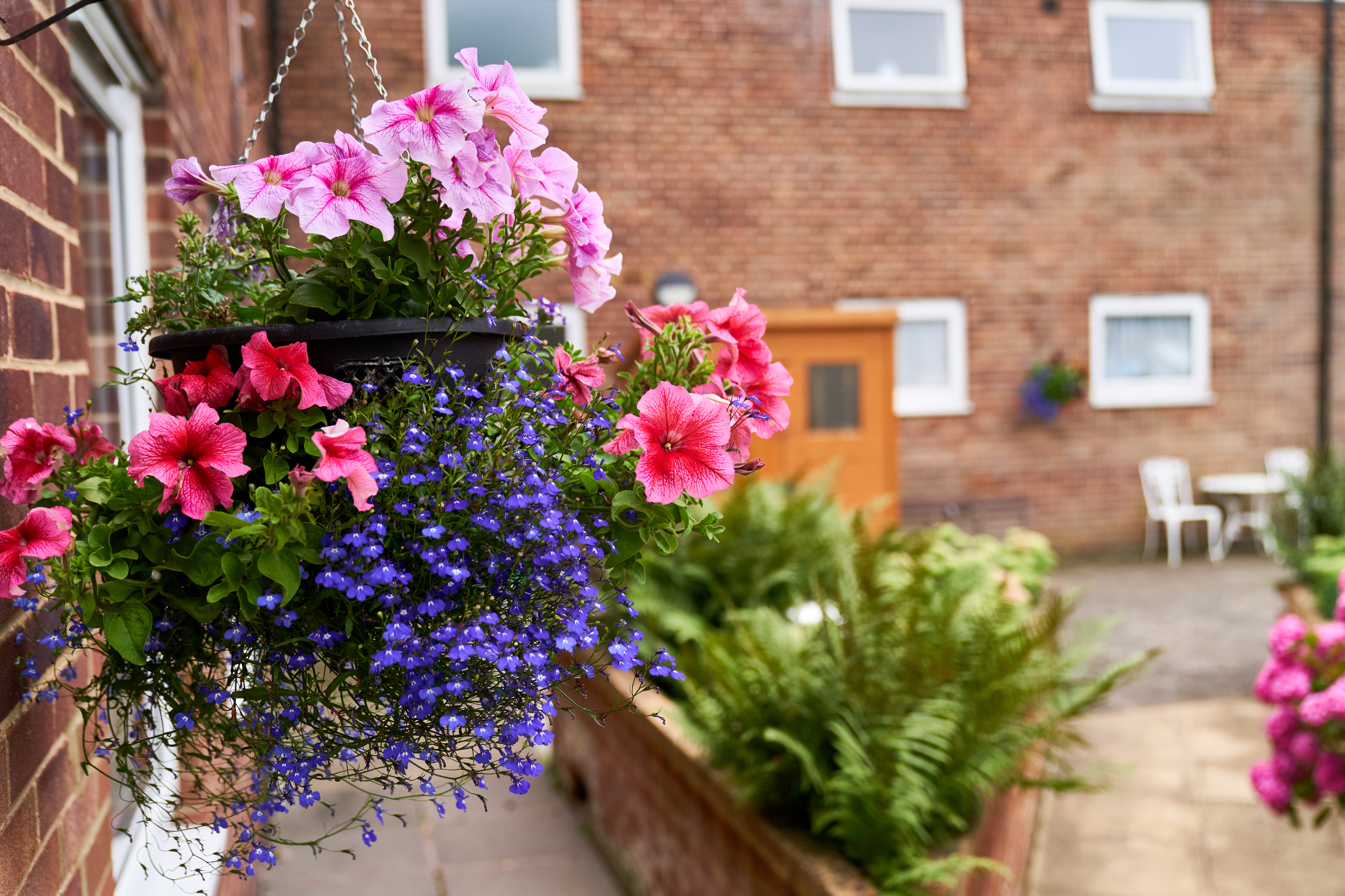 It’s gardening competition time!